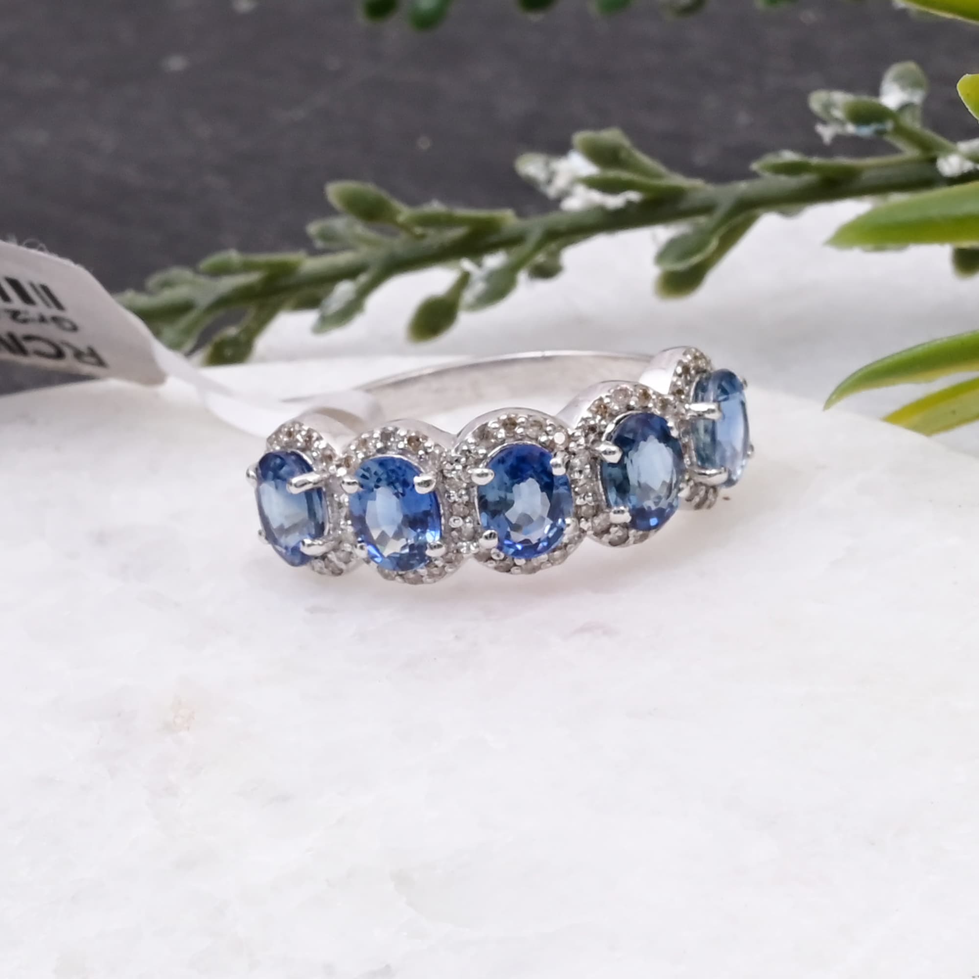 Celestial Sapphire Halo Band